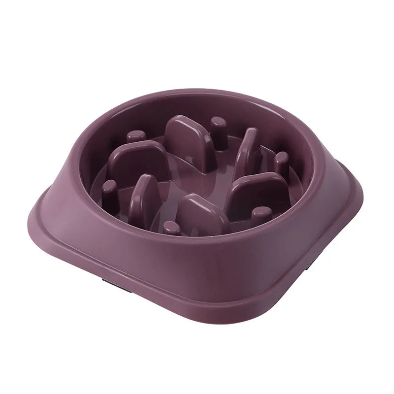Pet Slow feeder Bowl