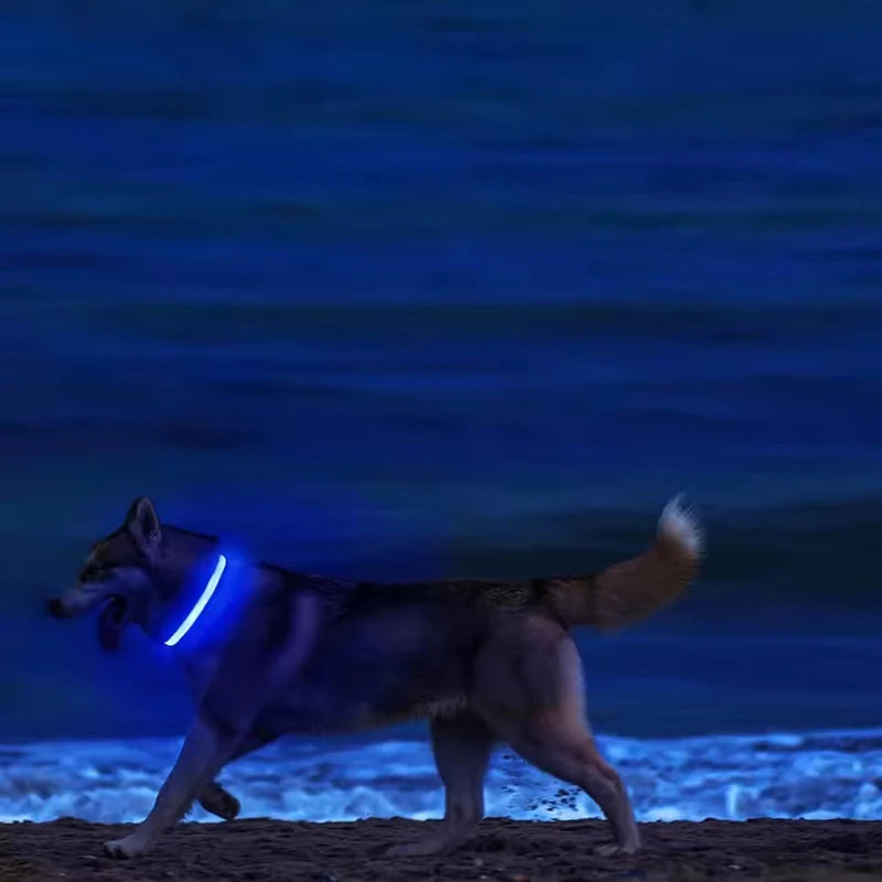 Nylon LED Dog Leash