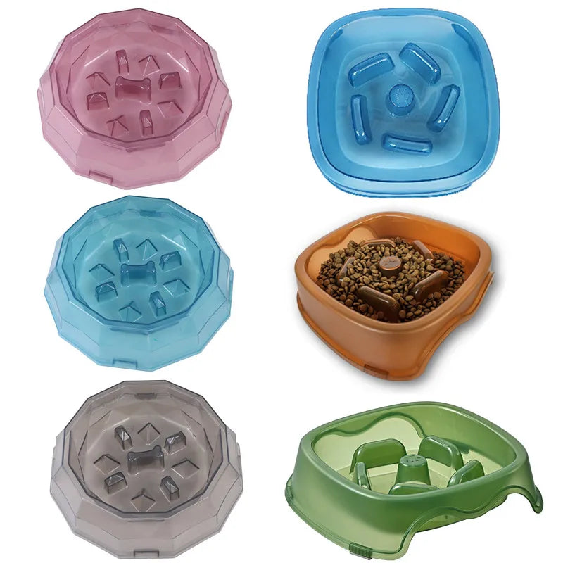 Pet Slow feeder Bowl