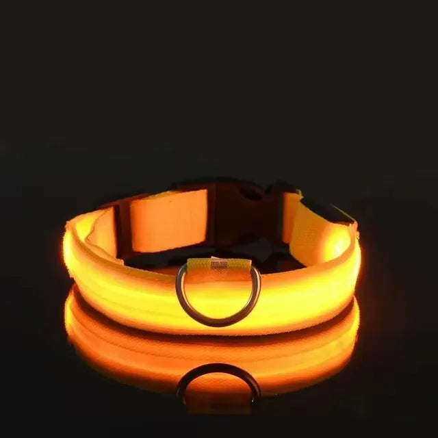 Nylon LED Dog Leash