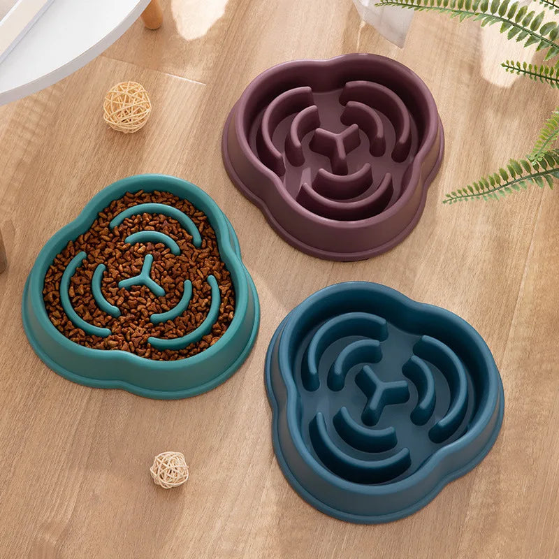 Pet Slow feeder Bowl