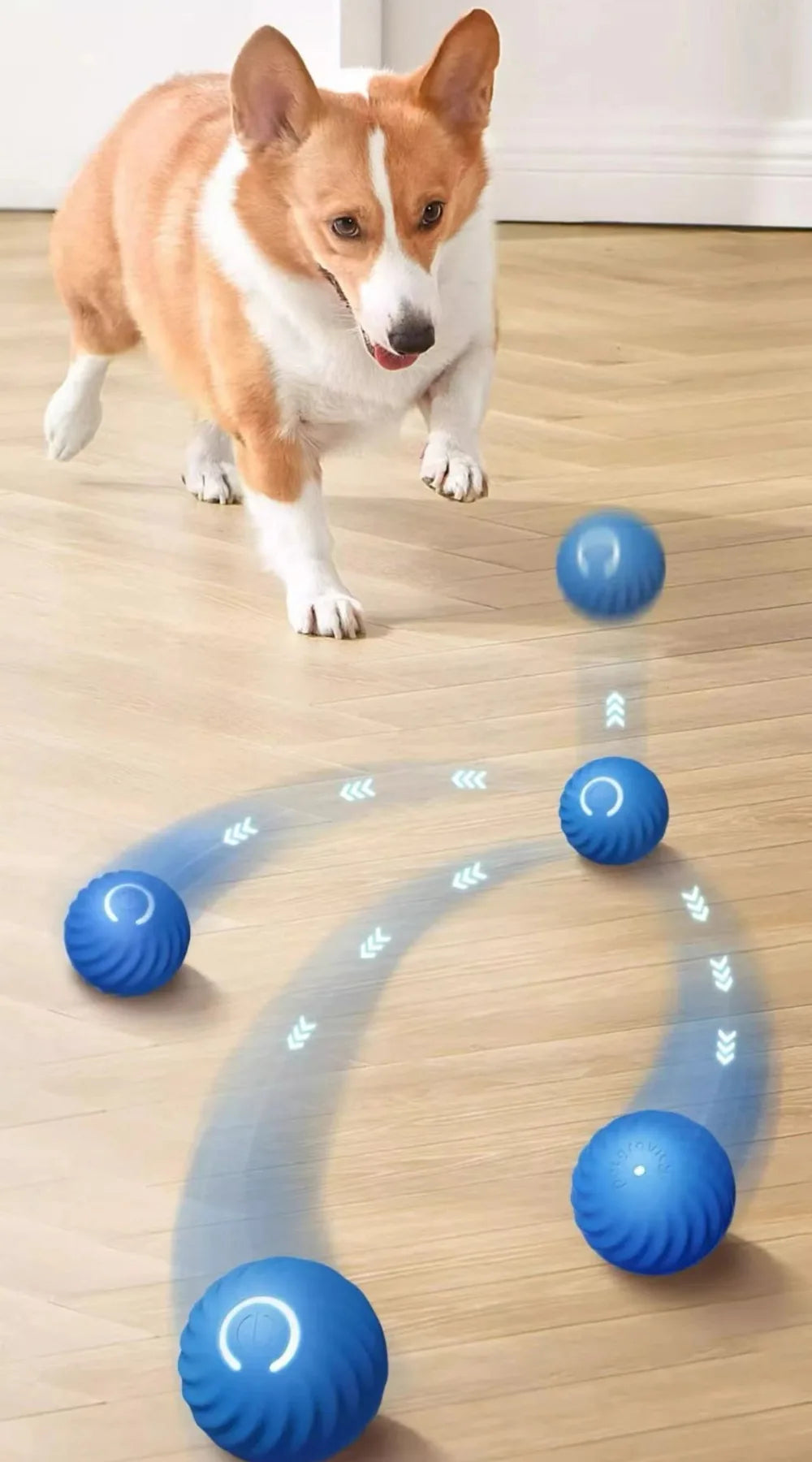 Smart Dog Toy Ball – USB Rechargeable Automatic Moving & Jumping Ball