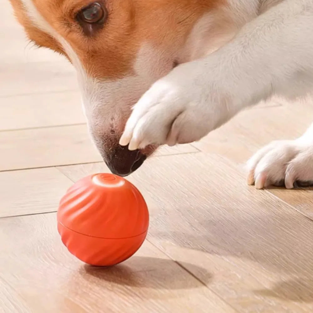 Smart Dog Toy Ball – USB Rechargeable Automatic Moving & Jumping Ball