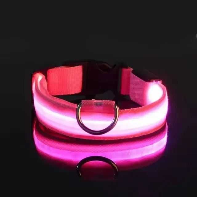 Nylon LED Dog Leash
