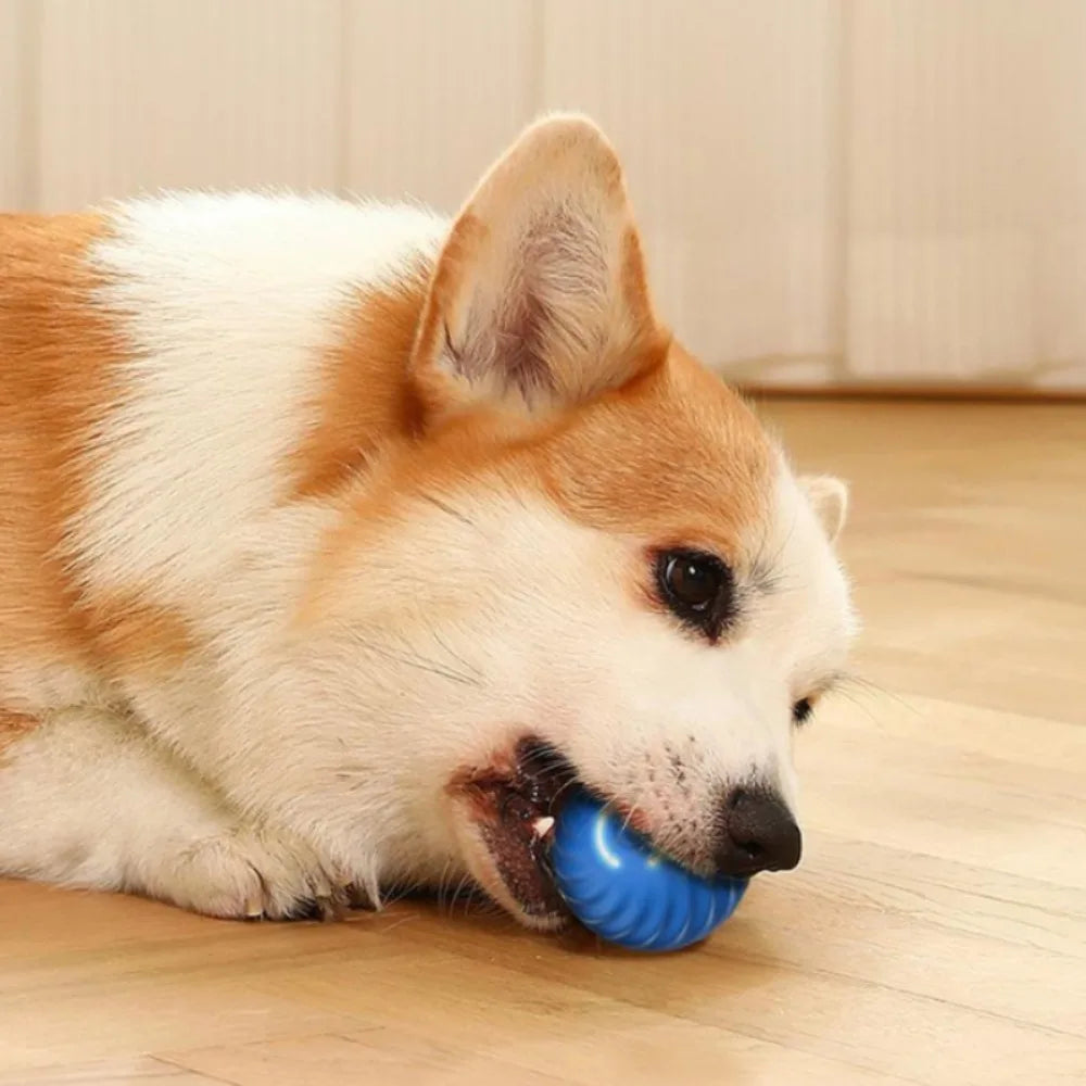 Smart Dog Toy Ball – USB Rechargeable Automatic Moving & Jumping Ball