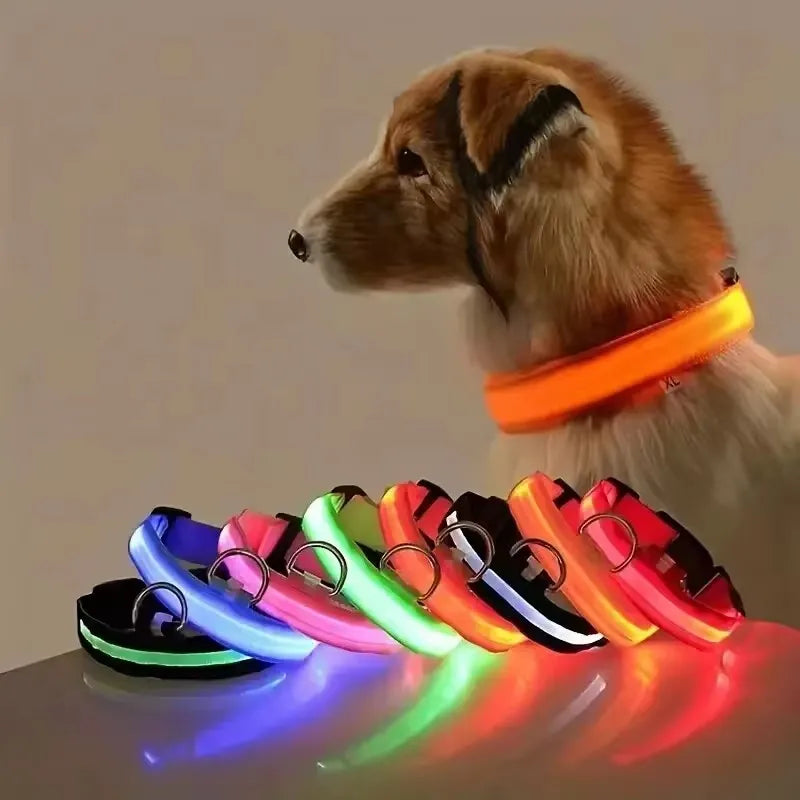 Nylon LED Dog Leash