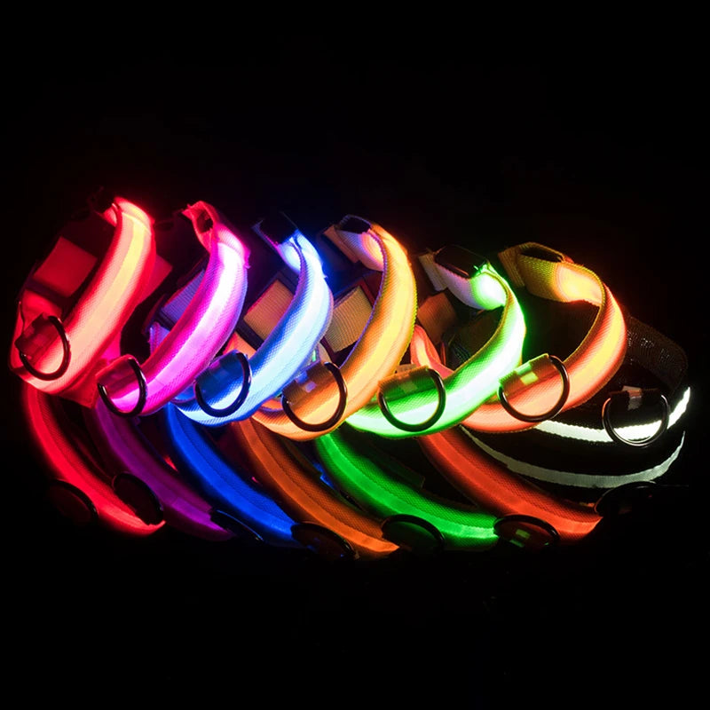 Nylon LED Dog Leash