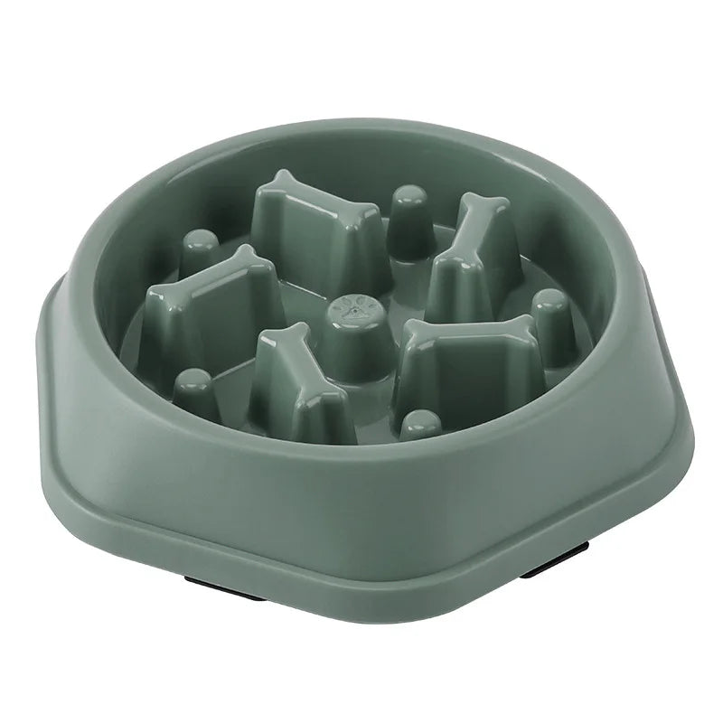 Pet Slow feeder Bowl