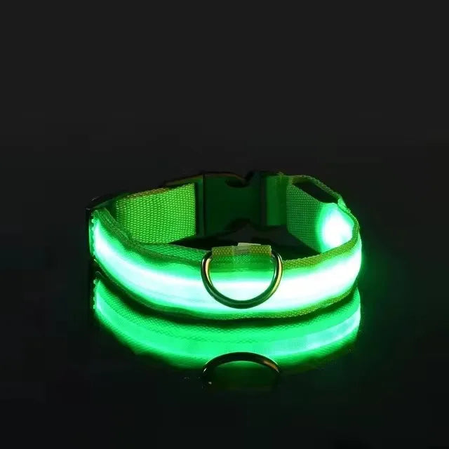Nylon LED Dog Leash