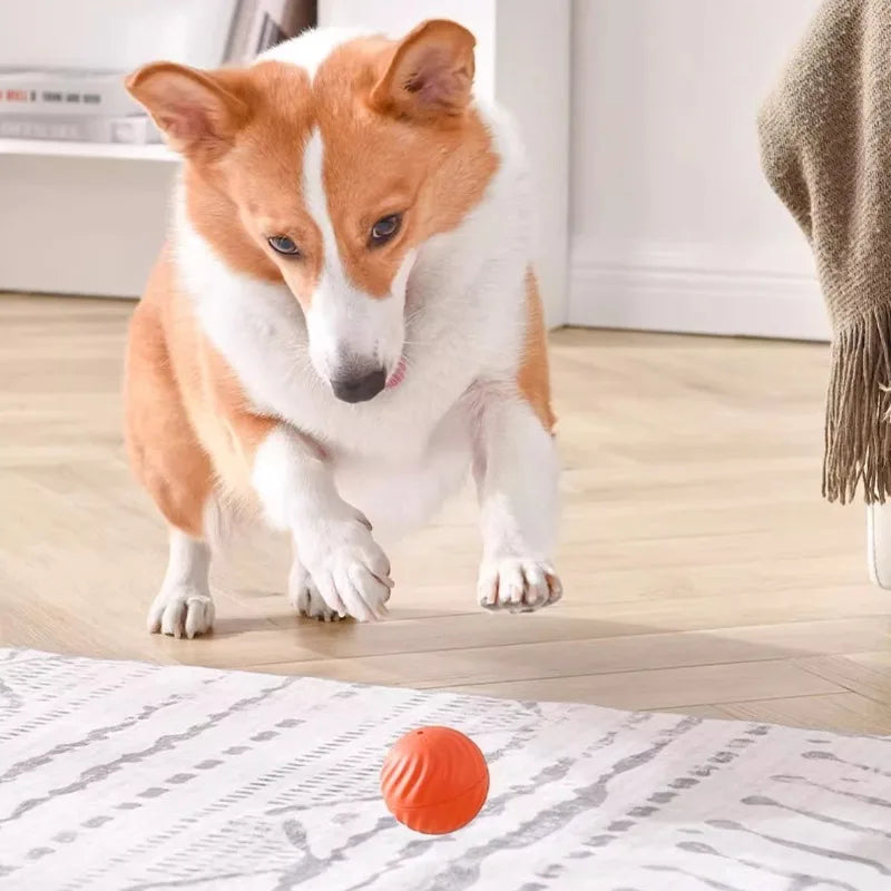 Smart Dog Toy Ball – USB Rechargeable Automatic Moving & Jumping Ball
