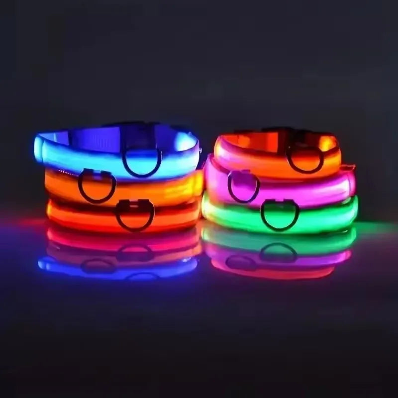 Nylon LED Dog Leash