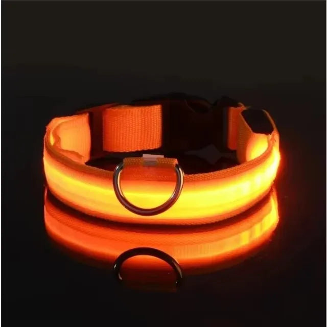 Nylon LED Dog Leash