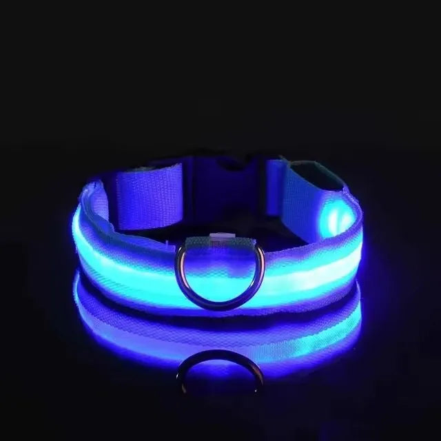 Nylon LED Dog Leash