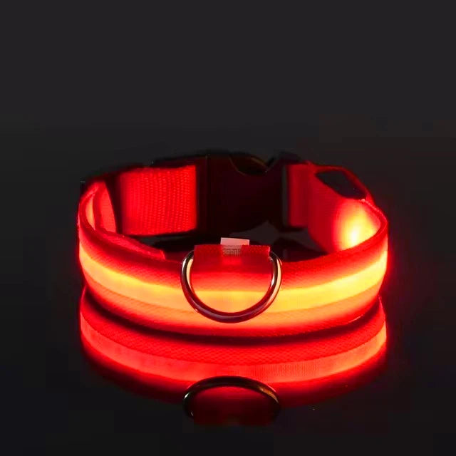 Nylon LED Dog Leash