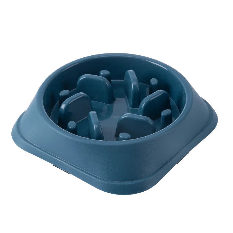 Pet Slow feeder Bowl