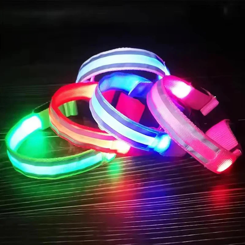 Nylon LED Dog Leash