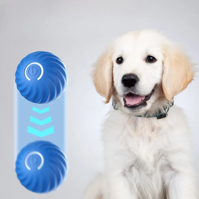 Smart Dog Toy Ball – USB Rechargeable Automatic Moving & Jumping Ball