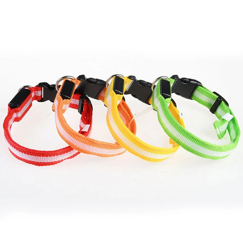 Nylon LED Dog Leash
