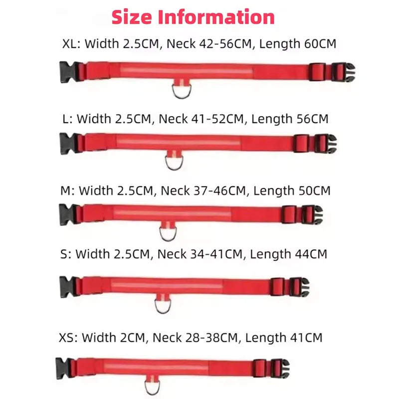 Nylon LED Dog Leash