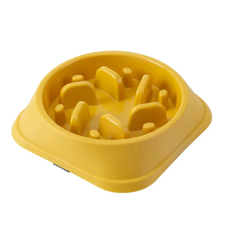 Pet Slow feeder Bowl