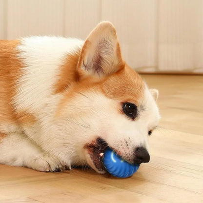 Smart Dog Toy Ball – USB Rechargeable Automatic Moving & Jumping Ball