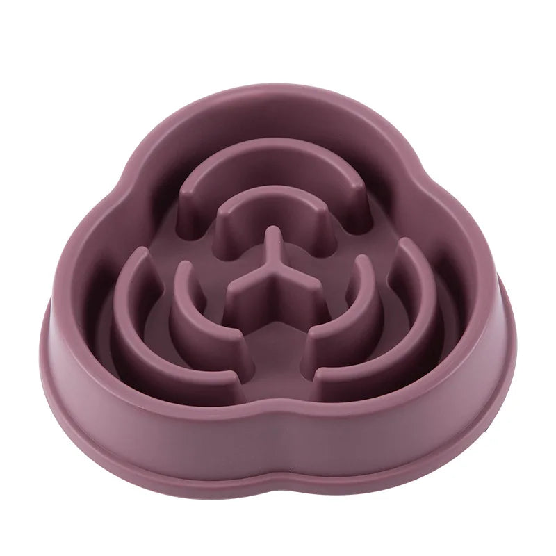 Pet Slow feeder Bowl