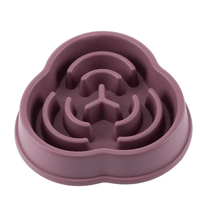 Pet Slow feeder Bowl