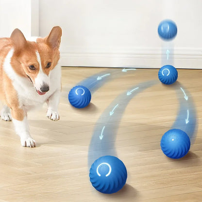 Smart Dog Toy Ball – USB Rechargeable Automatic Moving & Jumping Ball