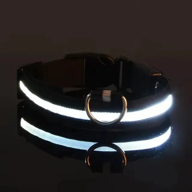 Nylon LED Dog Leash