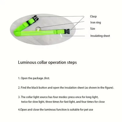 Nylon LED Dog Leash