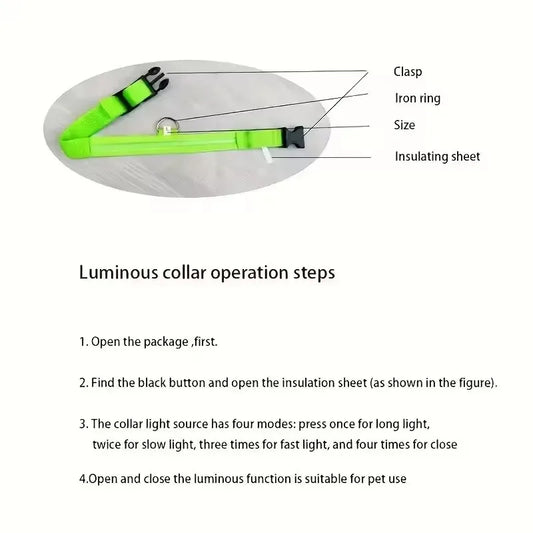 Nylon LED Dog Leash