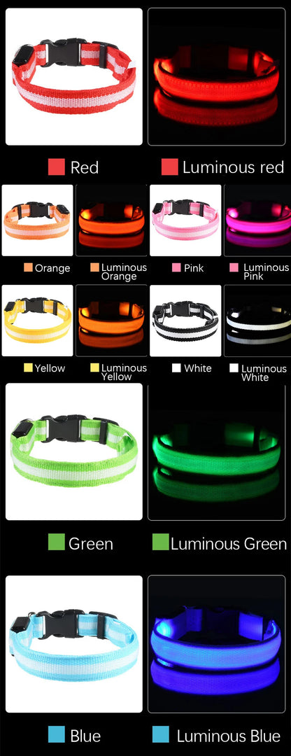 Nylon LED Dog Leash